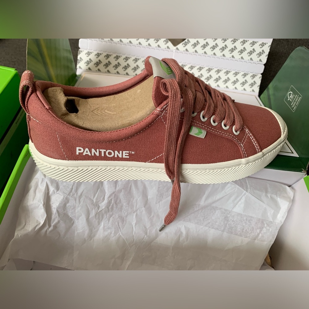 Cariuma +‎ Pantone OCA Low Withered Rose Canvas Contrast Thread Sneaker NIB 🌴 - Picture 5 of 10